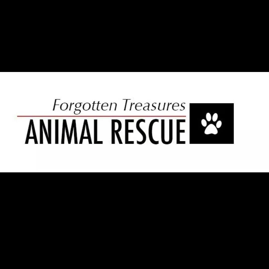 Logo with paw print Older logo mainly text but has a paw print icon