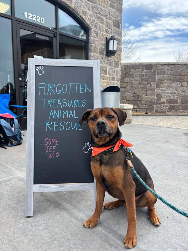Forgotten Treasures Event Dog Jeff standing by a Forgotten Treasures event sign.