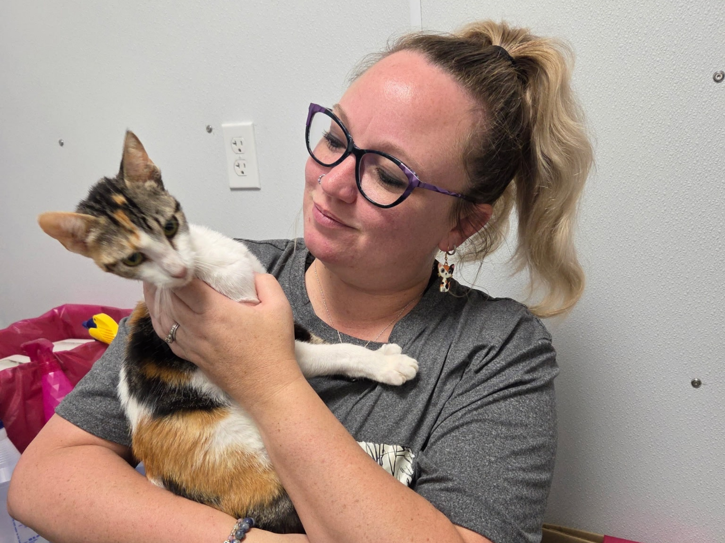 Brandy Osburn Brandy Osburn Executive Director holding kitten.